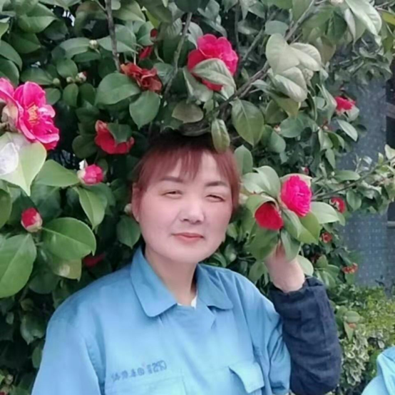 1567241237569009.png image.png